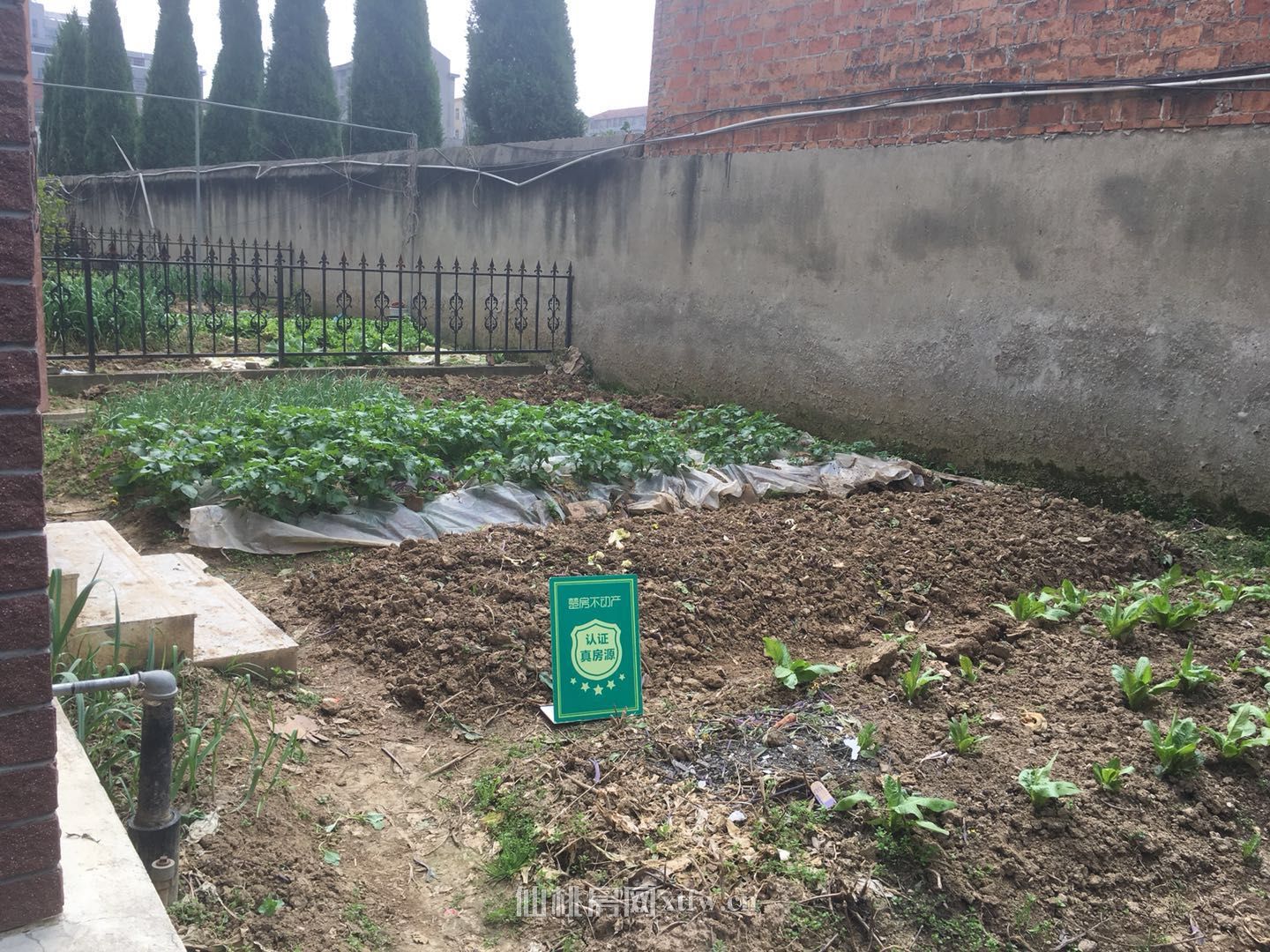 职院旁联排别墅桃园居送大花园送车库满五唯别墅别墅