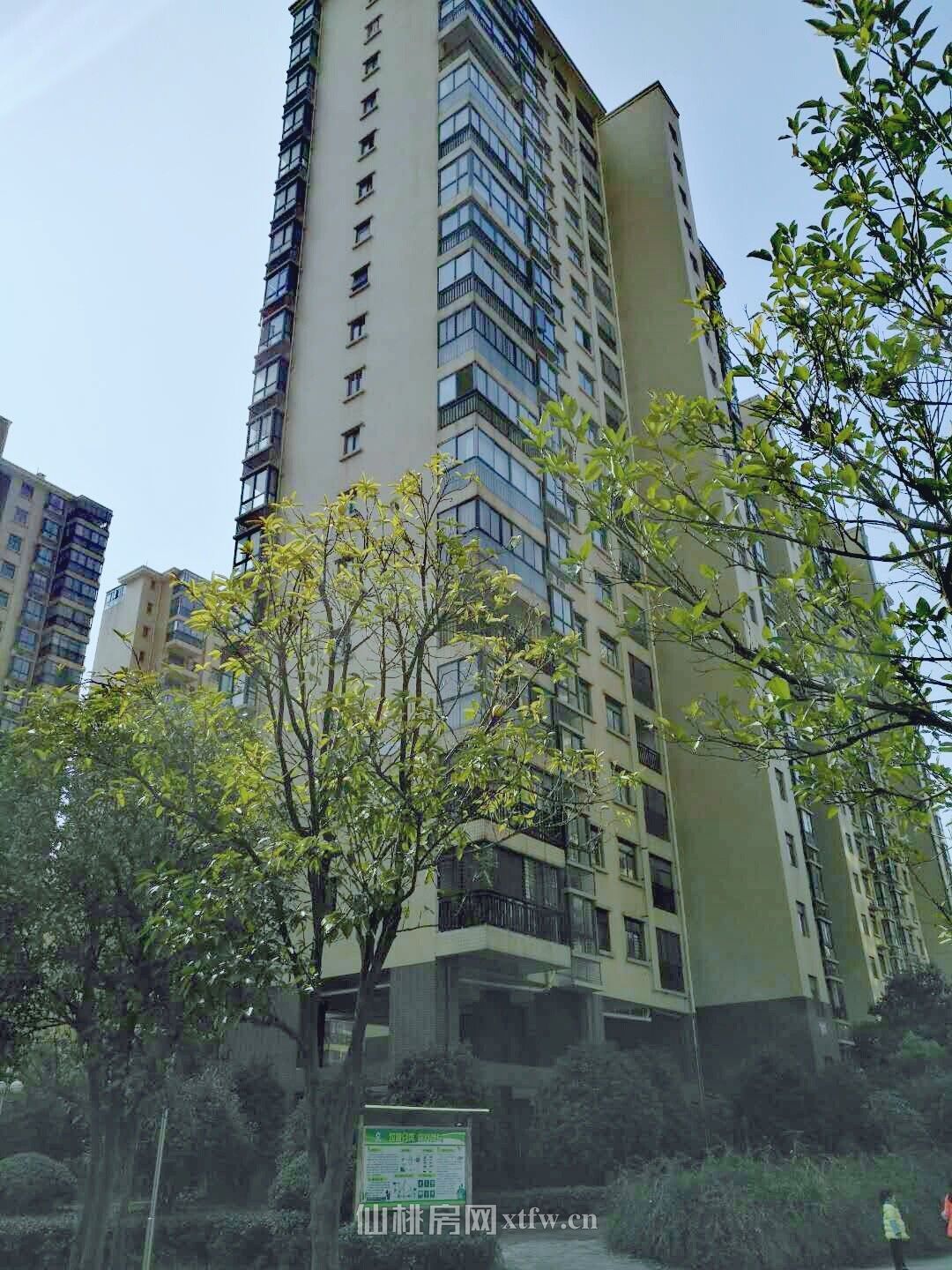 三丰鼎城入户花园送大露台165平洋房急售