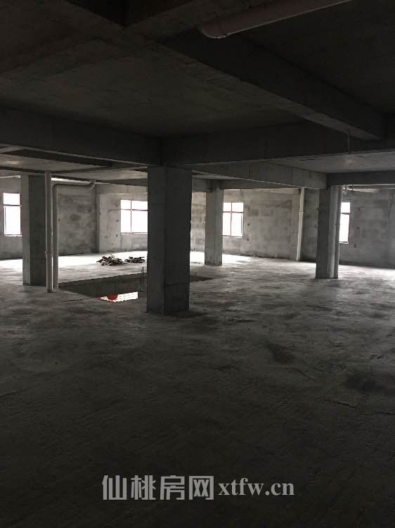 地段繁华商业区