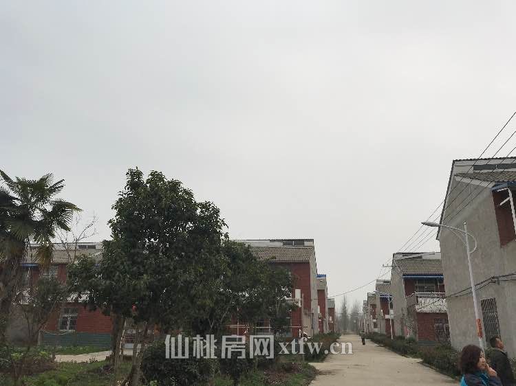 百万花海附近优质房源