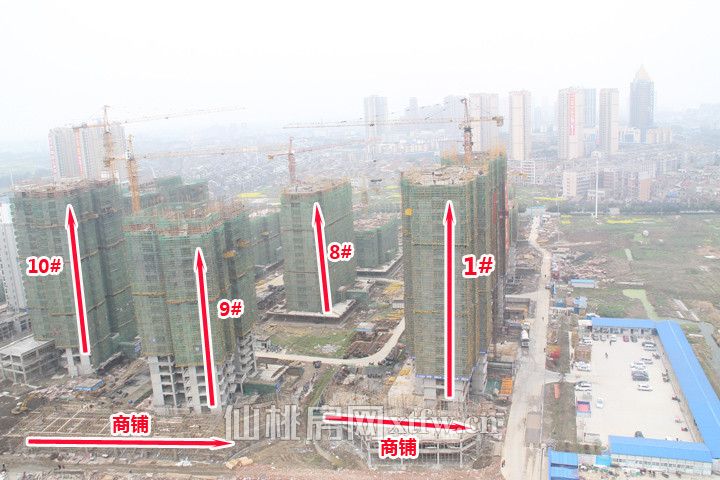 2018032409500493402zqa8hm.jpg IMG_4504.jpg