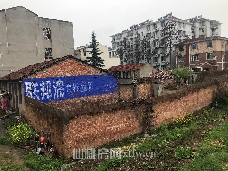 市区门面别墅房，可用土地近1600平米，九路车站口