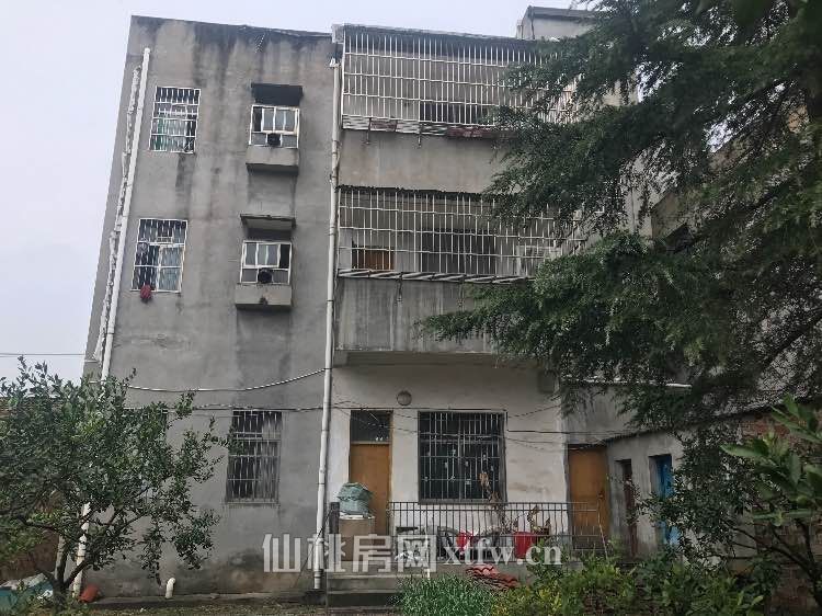 市区门面别墅房，可用土地近1600平米，九路车站口