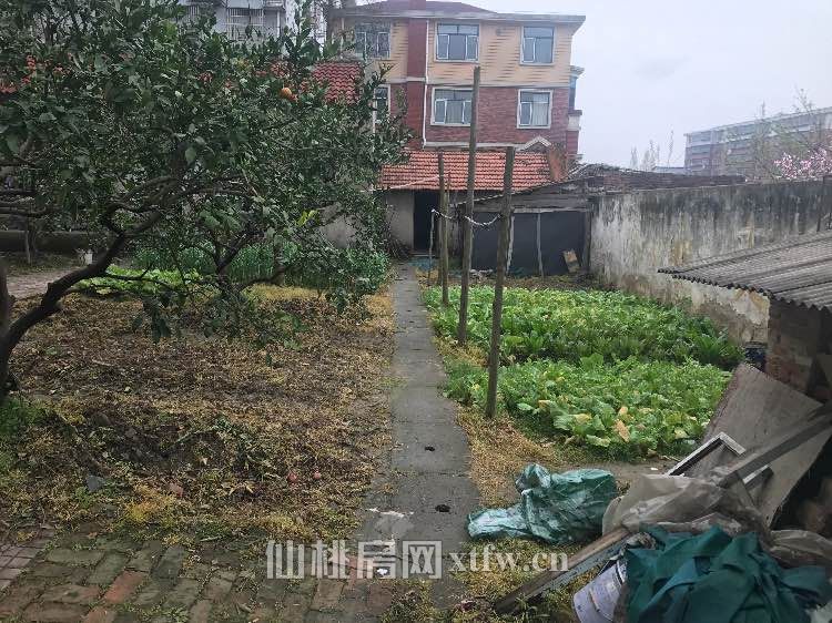 市区门面别墅房，可用土地近1600平米，九路车站口