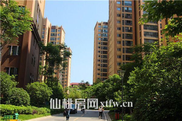 20180418105322807756wmca5.jpg 图片15.jpg