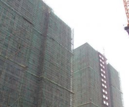 阳光·田园国际10月项目进度