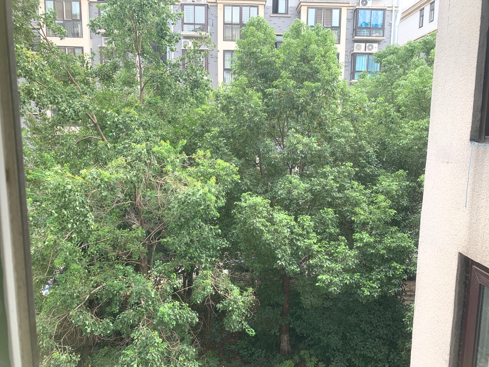 新城壹号旁，星城国际和园公馆，精装三房，成色新，证满二，拎包住