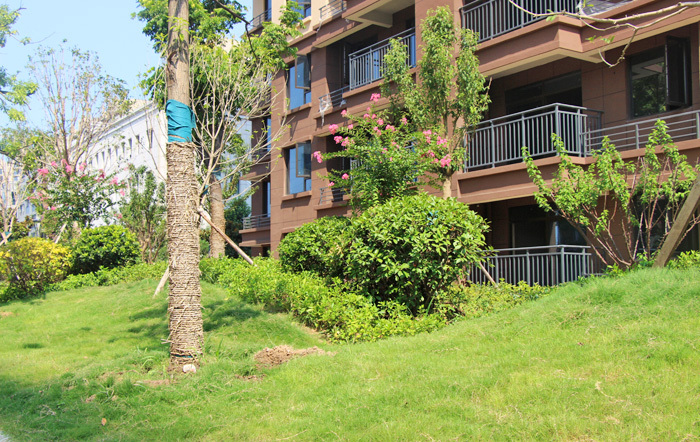 荣怀·及第世家 | 实景现房钜惠 让美好不止于想象