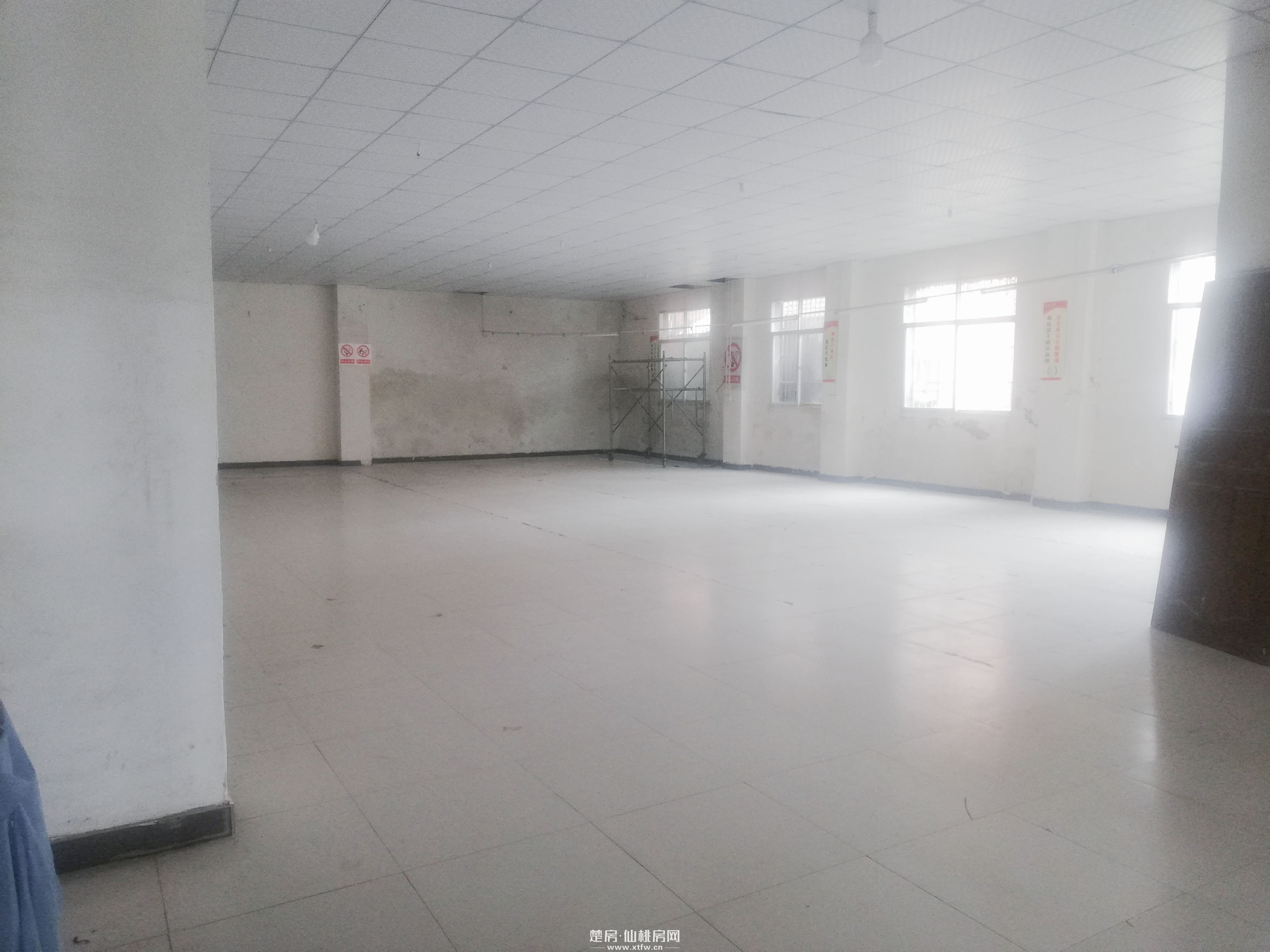 彭场镇三厢电水电齐全600平厂房可作仓库