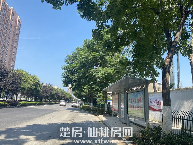 【楼盘评测】城南中芯 公园社区——现代·森林国际城|北苑