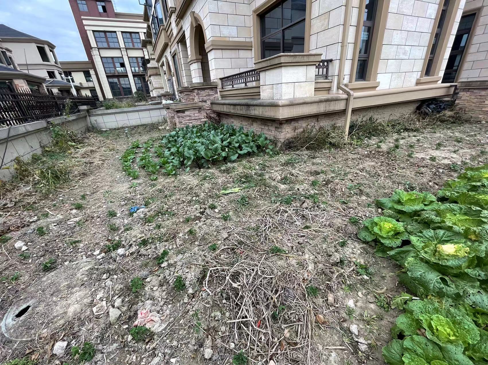 绿地华庭双排大别墅带超大院子带地下室享人生  生活从这里开始