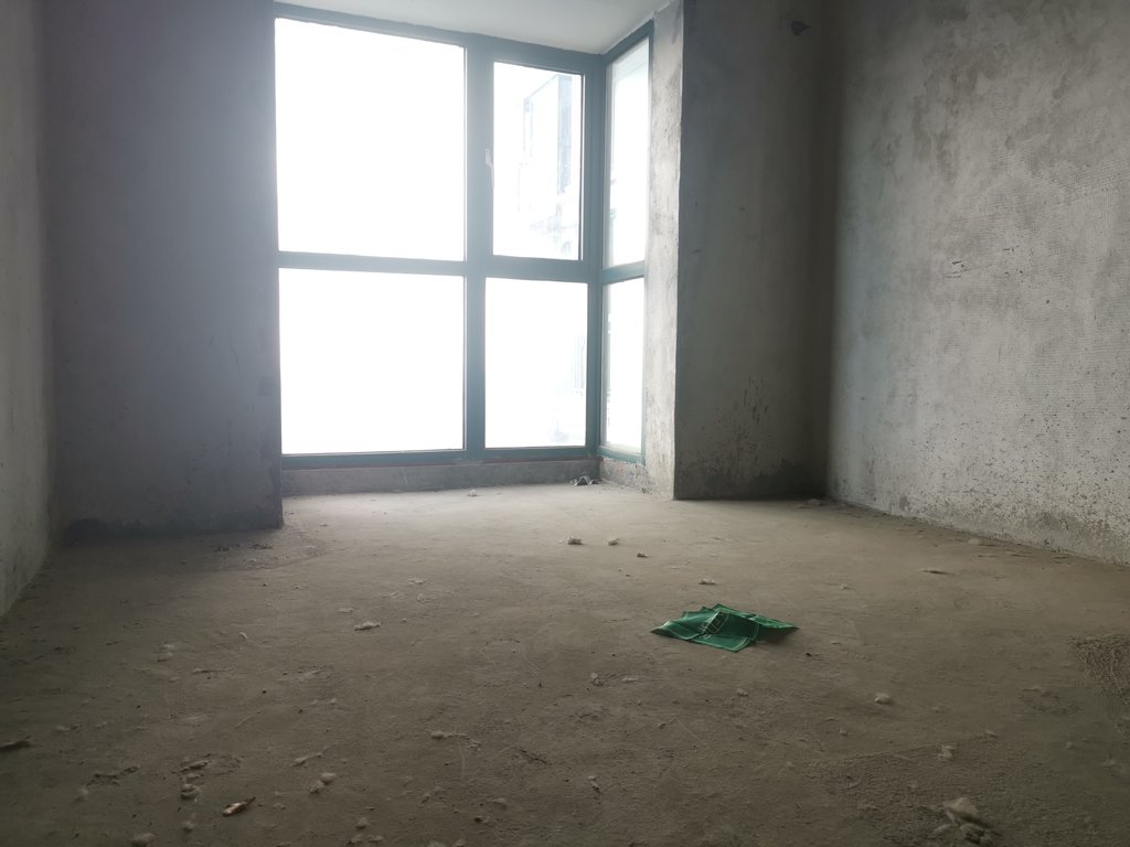 时代广场，新车站对面，毛坯大三房，送入户花园，高楼层，采光视野好，看房方便