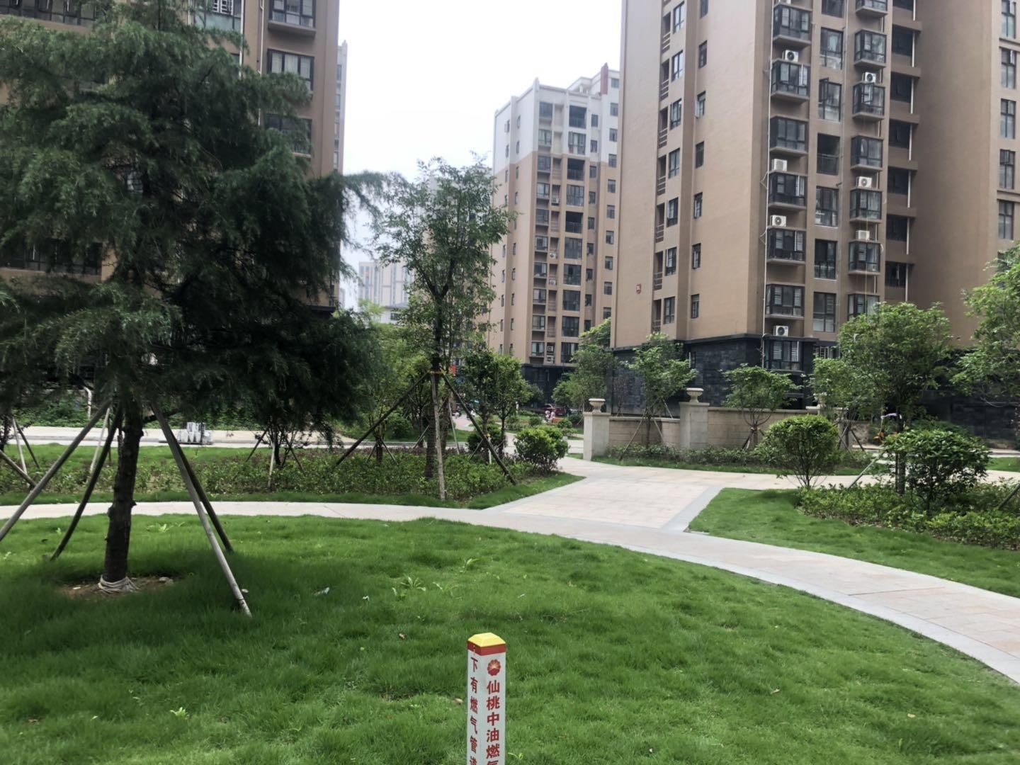 沔阳公馆毛坯三房两卫采光好户型方正 看房