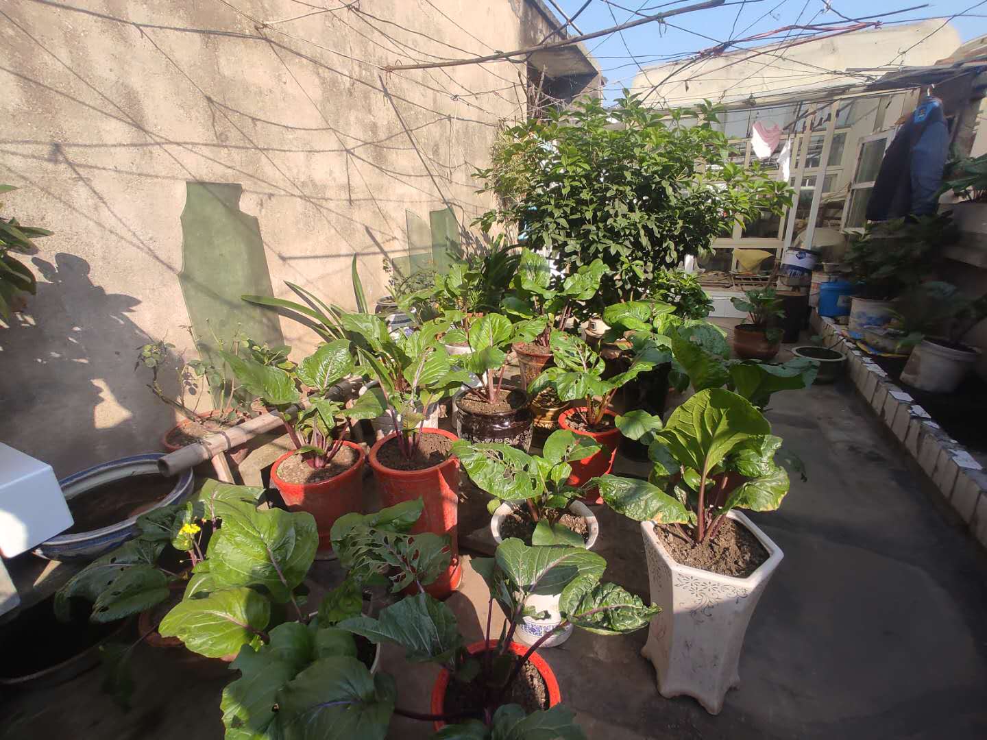 仙桃福利院旁私房三层带露台