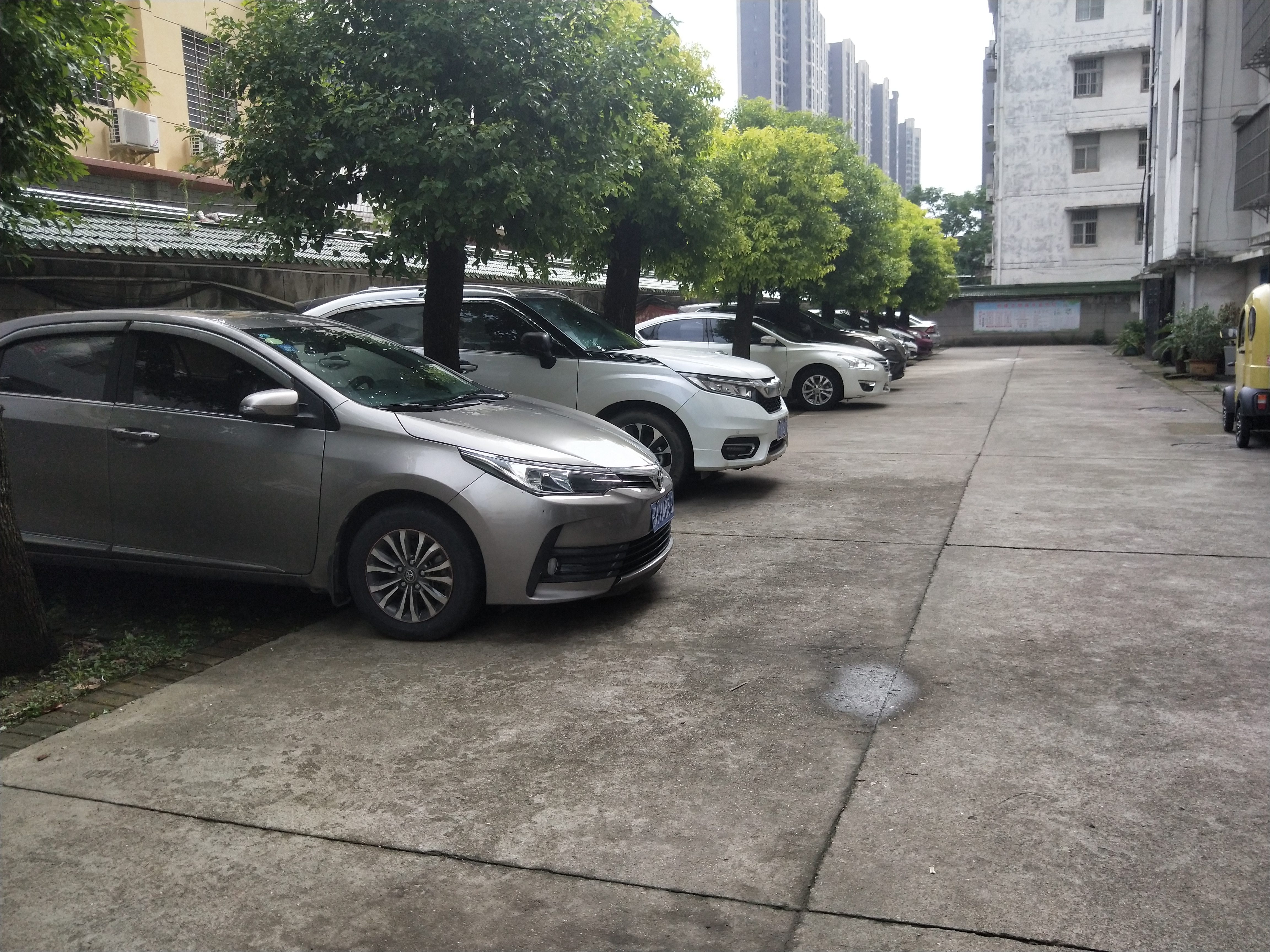 梧桐苑旁大四房四房朝南步梯好楼层保养很好风格简约可直接拎包入住