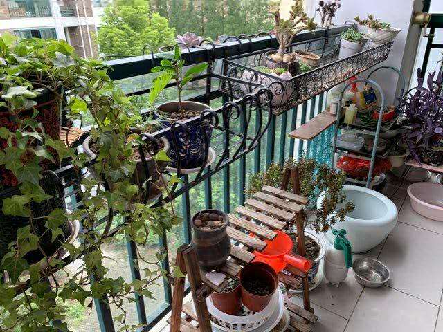 德政金园中层精装南北通透采光好业主诚意售