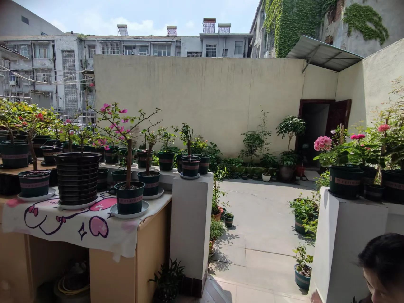 捡漏，商城旁，花园洋房，有私家花园，精装3房，