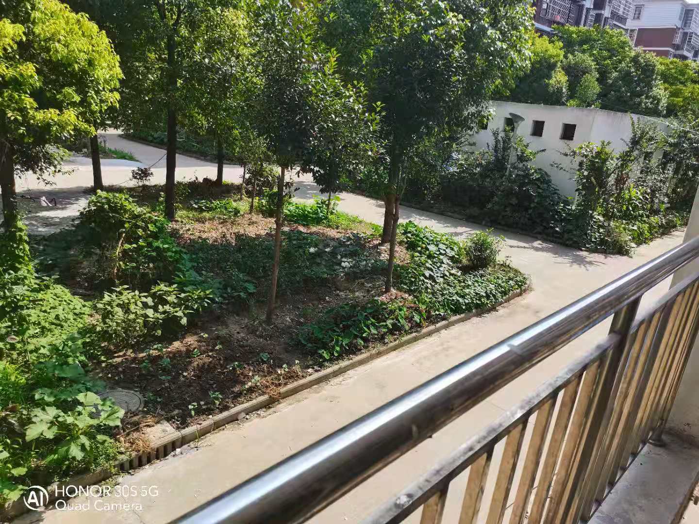 和平社区带地下室120平步梯好楼层30万