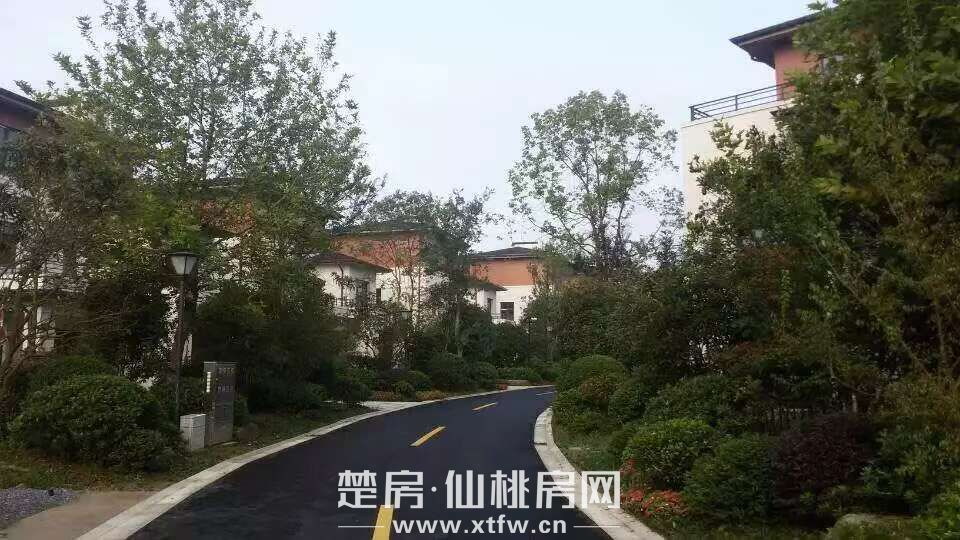 西郊庄园城西板块临湖庭院别墅带私家码头出售