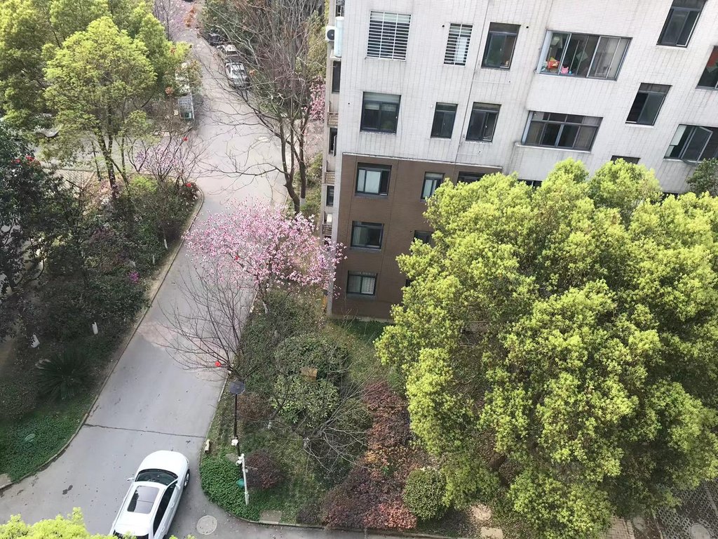 世纪雅园毛坯复式户型方正带一个车位房东诚意出售