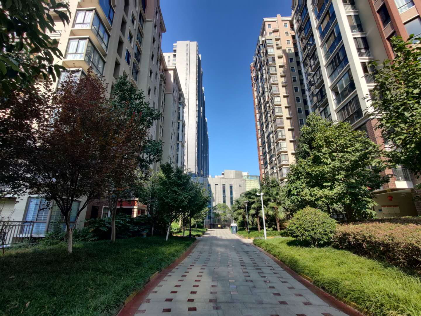 金诚花园 地段大户型南北通透家私全送满二税费低