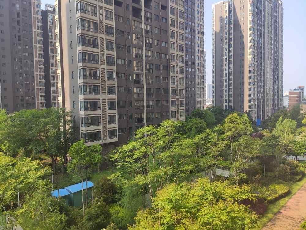 和合国际精装三房，装修的房子只卖毛坯的价钱，电梯中间楼层证满两年看房方便