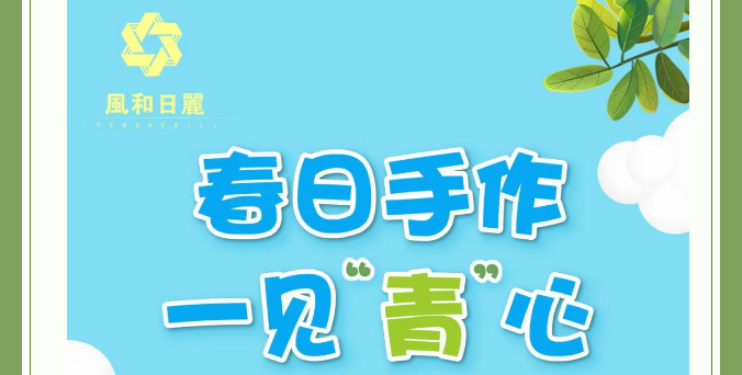 萌趣多肉·手作青团…风和日丽向您发出春天的邀约！