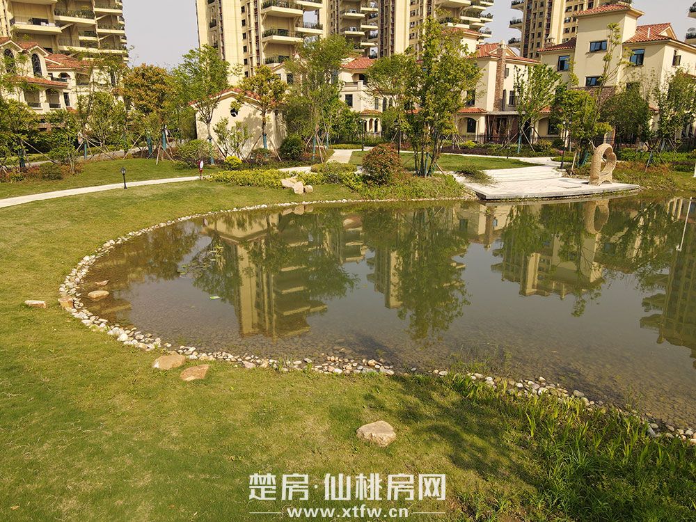 实景