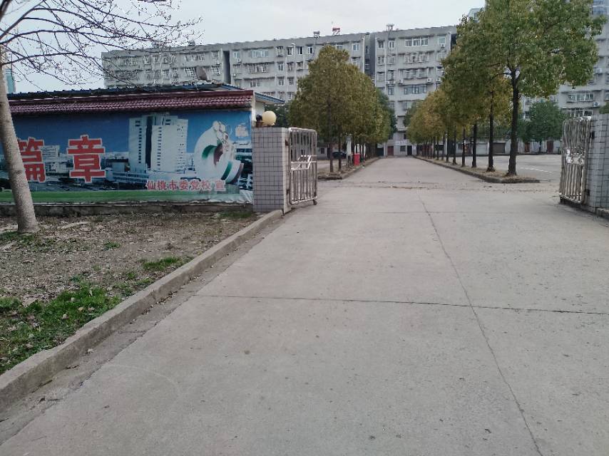 沃尔玛附近200平方左右大房子