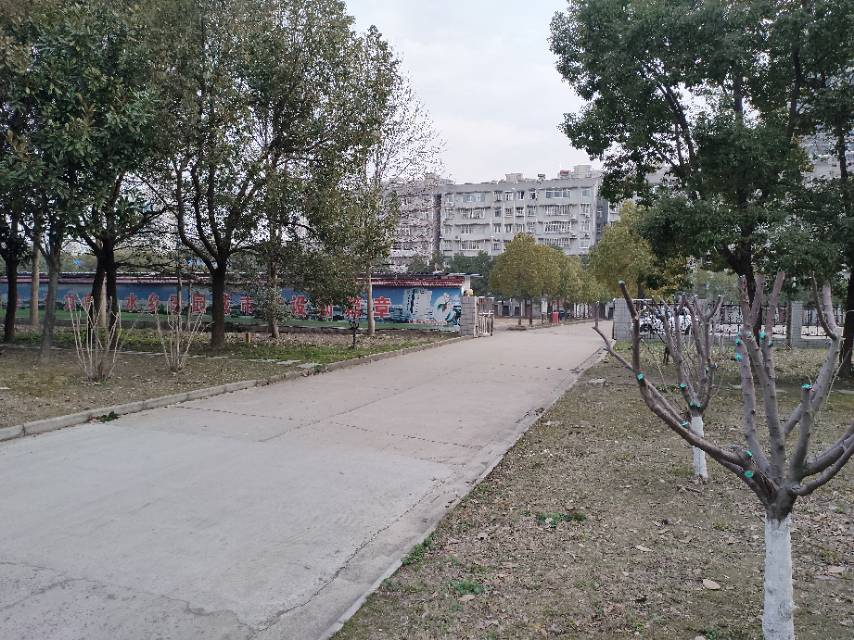 沃尔玛附近200平方左右大房子