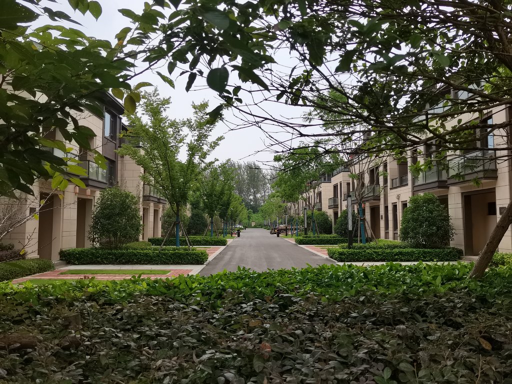 祥生观澜府毛坯大四房四开间朝南大开发商环境好空气清新