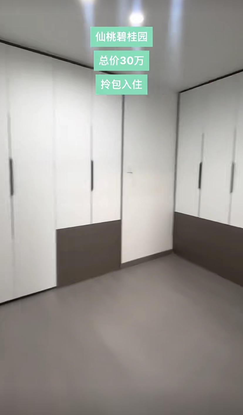 408，城南，仙桃碧桂园复式，9.9成新装修，带衣帽间，中间楼层