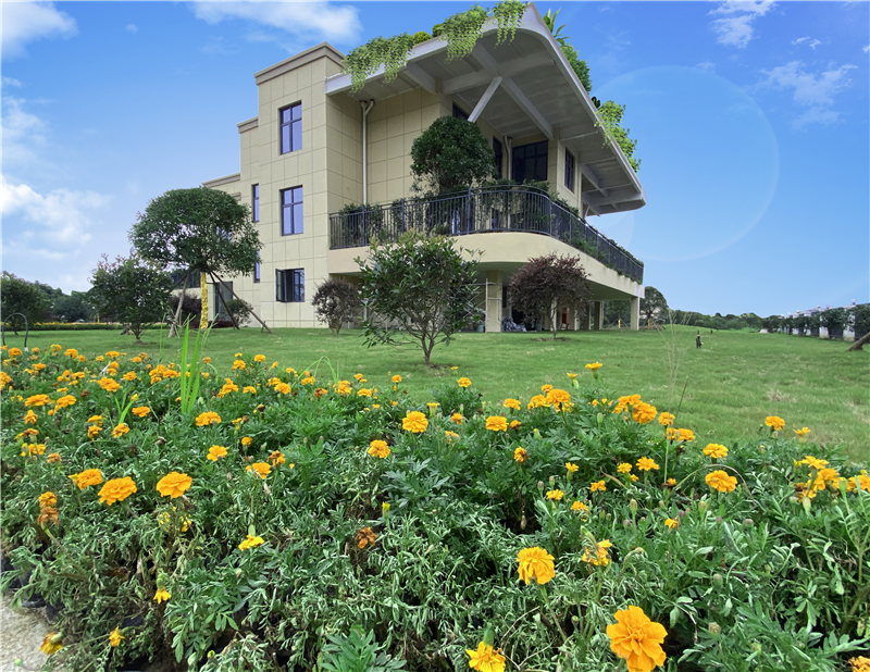 努力成为一个有院子的人——四代住房·太子湖国际社区