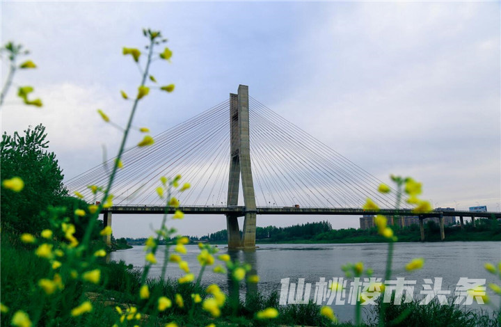 楼市热度持续！沿河大道旁地块即将开拍，楼面价约1131元/㎡