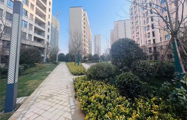 【现代·森林国际城|仙北】全龄互动景观园林,定格幸福光影!