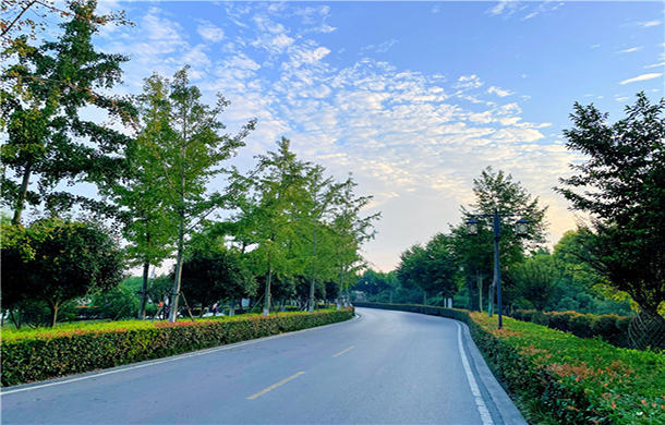 祥生大城生活记，取镜美好生活的一天