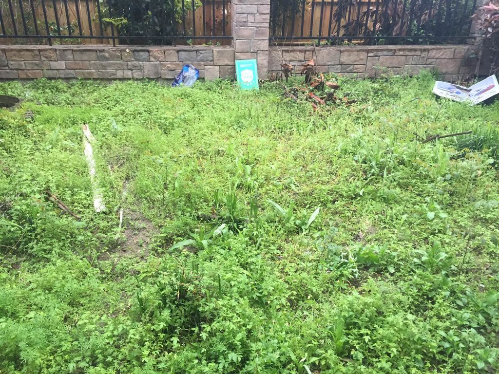 绿地华庭联排别墅，环境好的吓人，每天鲜氧环绕景色宜人