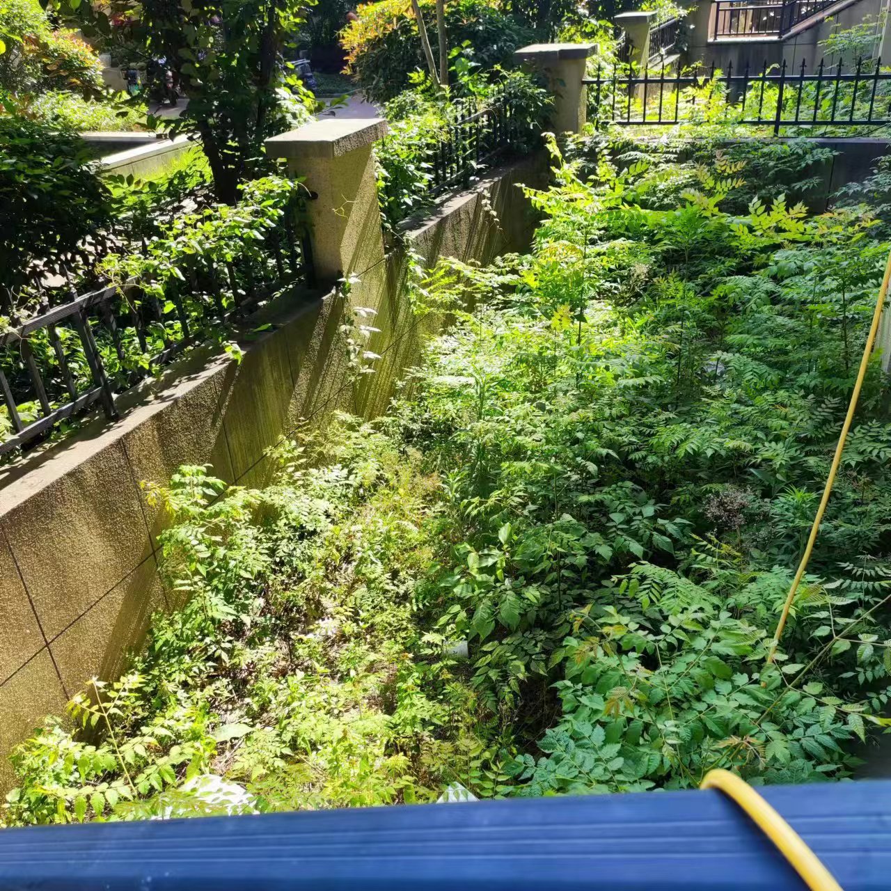 绿地香格里拉.毛坯复式带院子.带20平车库.看房方便