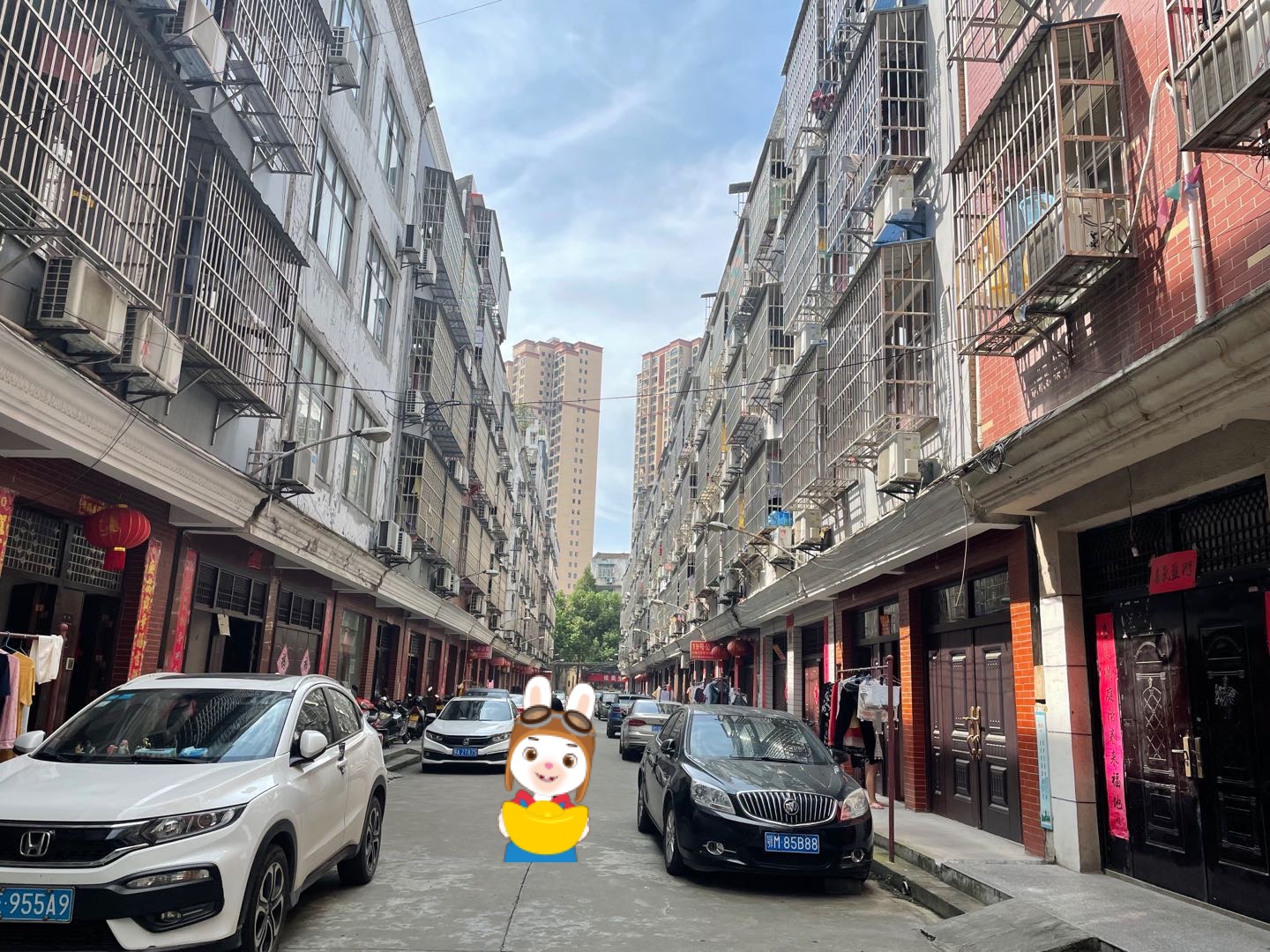 职院对面杜湖街私房5层450平买即出租