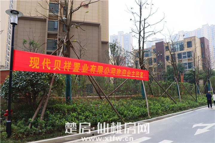 现代·森林国际城六期交房进行时 | 心归家至，大境已成！