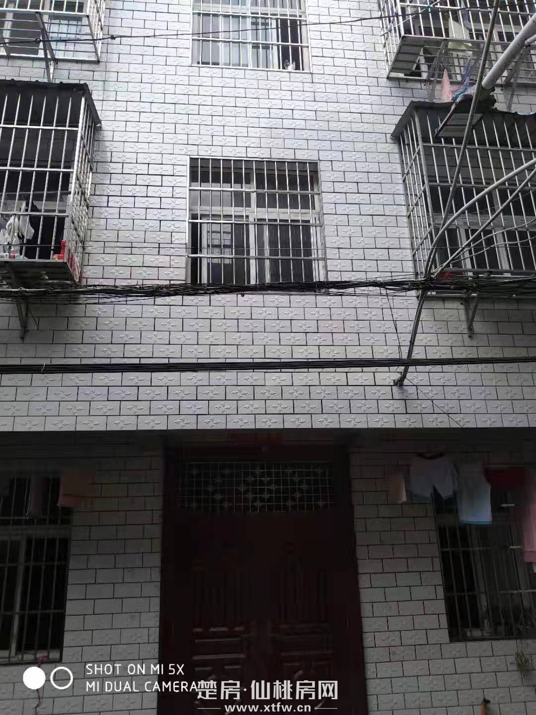 新生街 二校区对面出租房出售