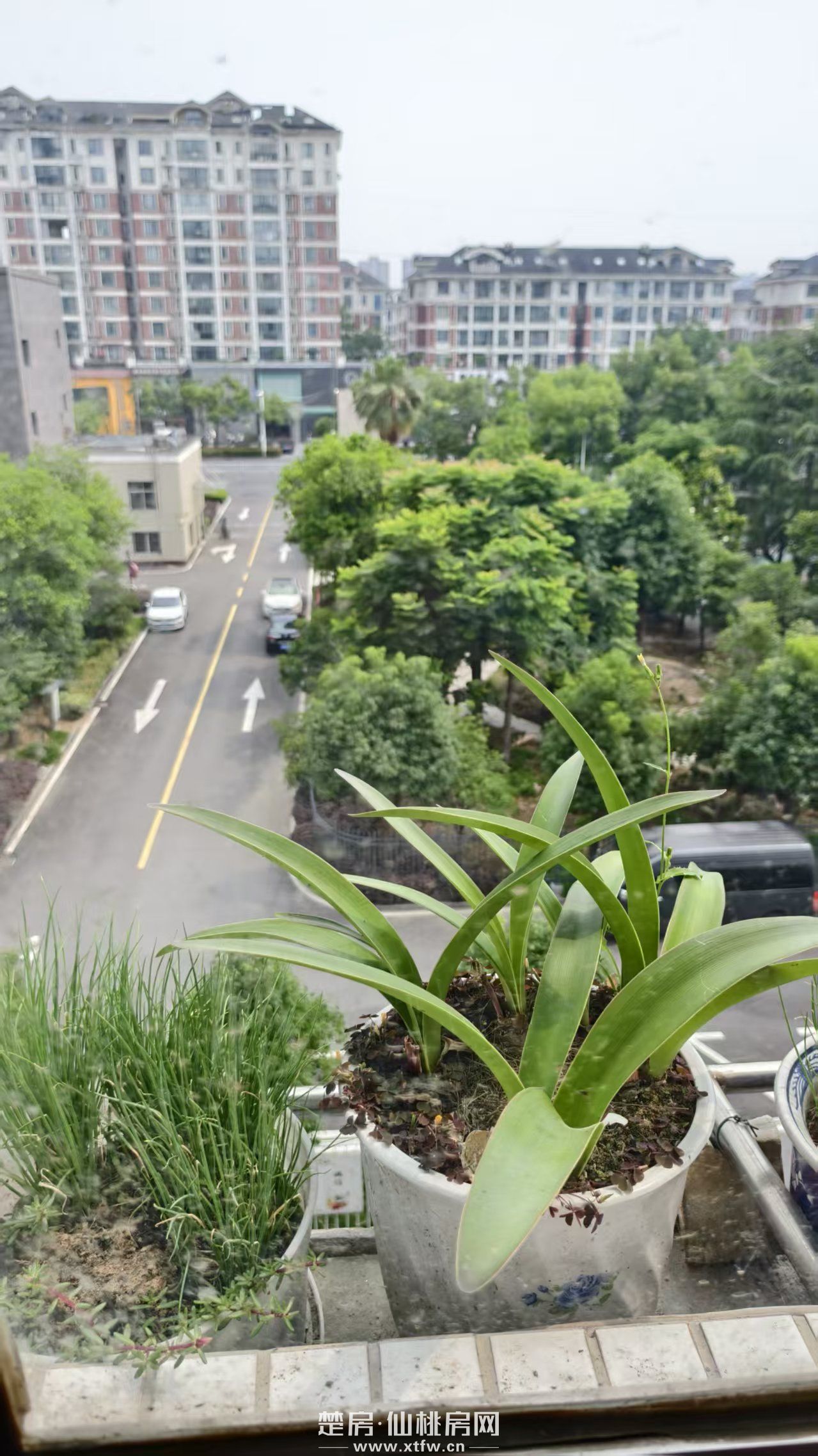 仙桃中学附近房屋出租三室二厅二卫