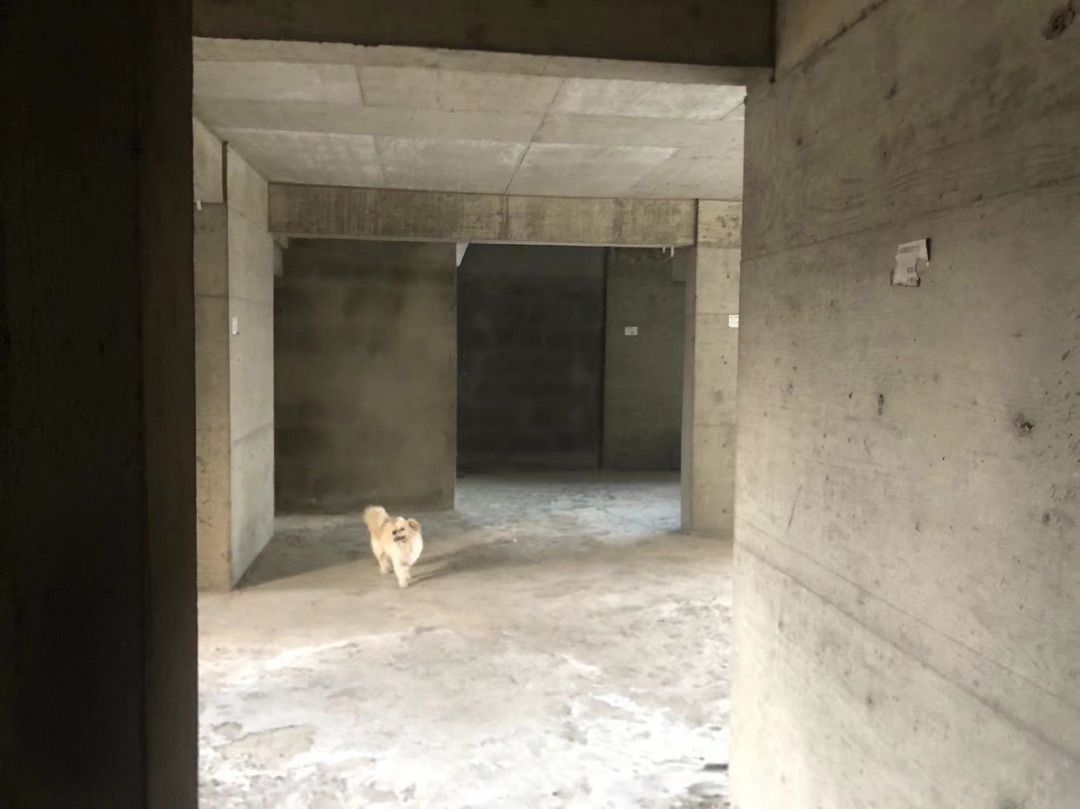 捡漏，汉江国际广场，毛坯三房两卫，一口价15.8万，前后双阳台，好楼层