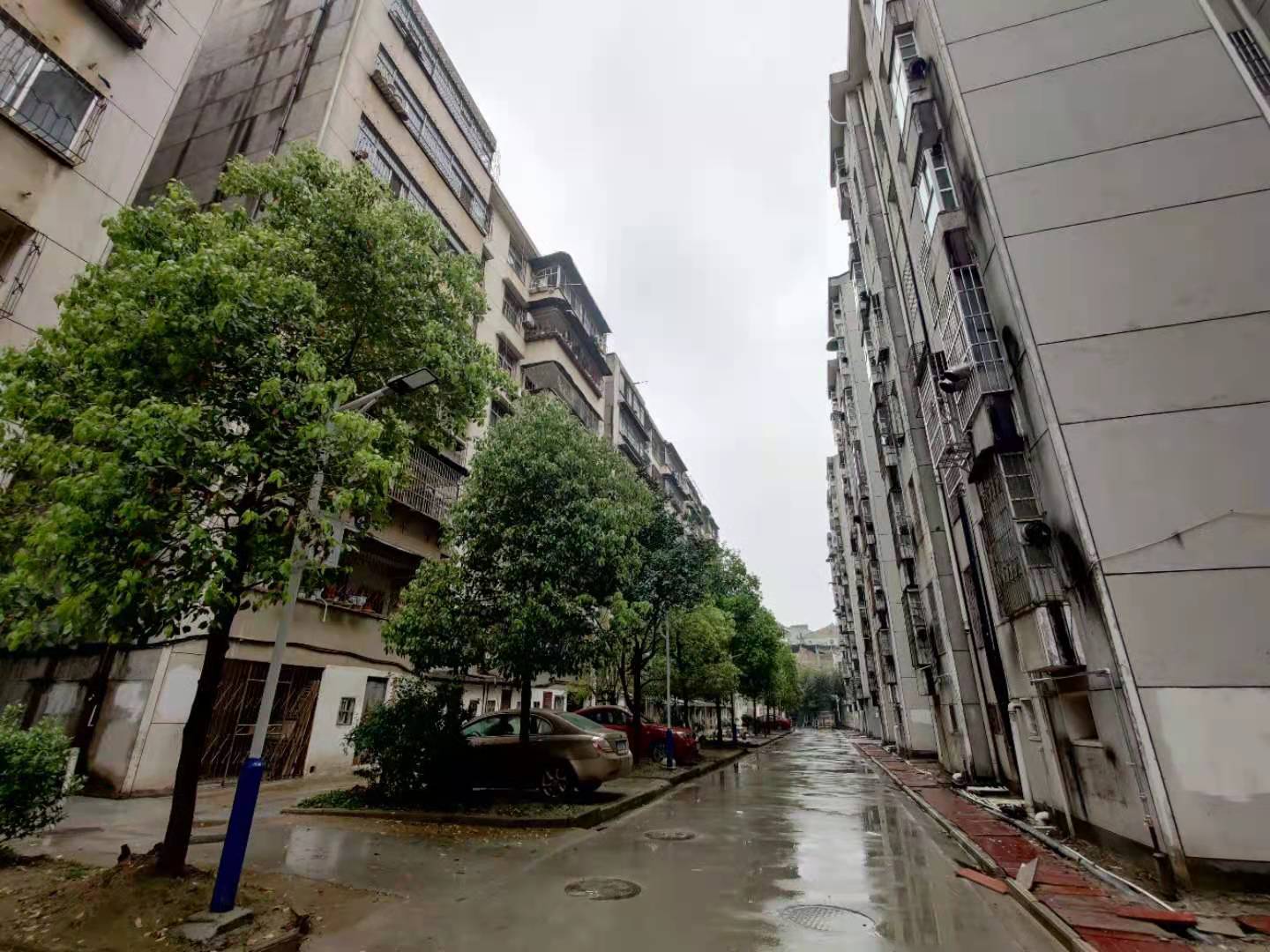 急卖！卫生小区中医院后体育广场武商近在 步梯好楼层三房朝南