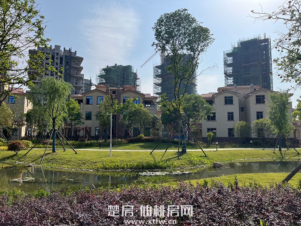 实景
