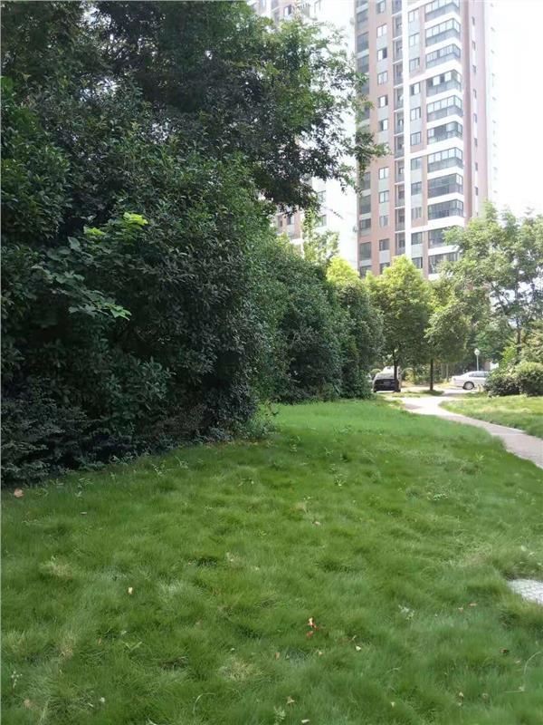 城西鸿昇现代城144平大四房送超大入户花园证满两年过户费低