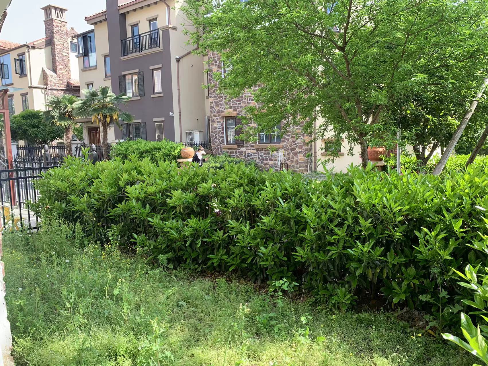 别墅，祥生御江湾