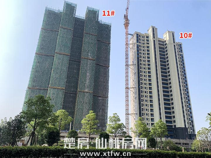 金秋意浓 十月家音 鼎立·望江府10月工程进度