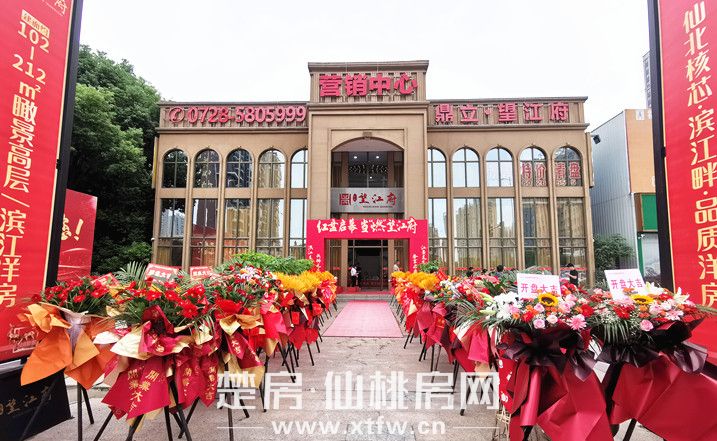 鼎立·望江府|样板间开放就火成这样！这个楼盘不得了