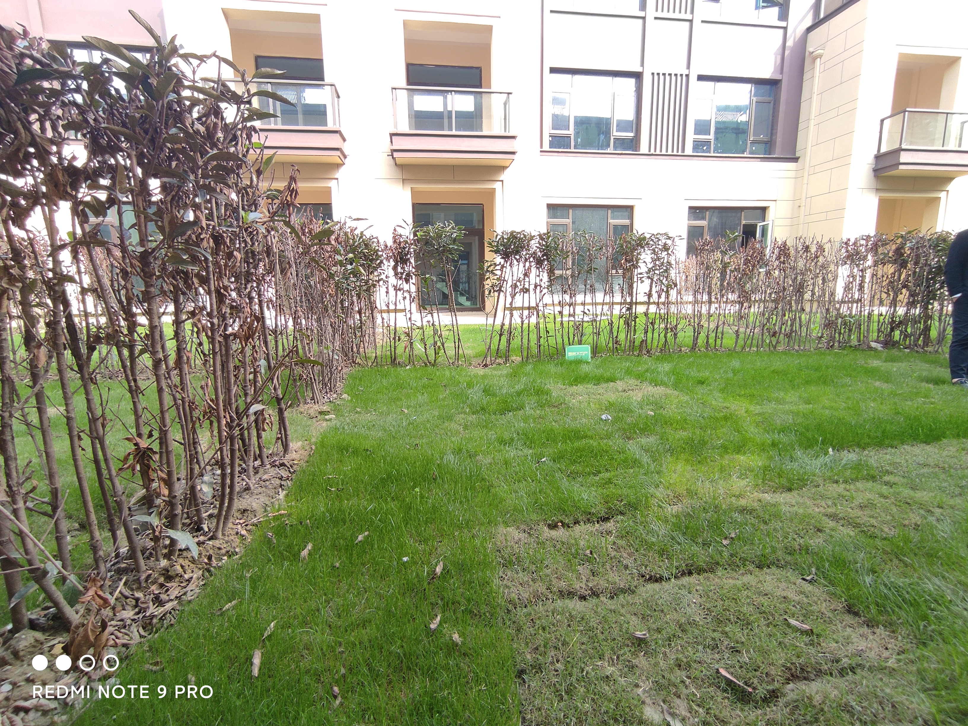 祥生观棠府连排别墅静谧舒适的环境带超大花园业主诚心保本卖为您的品质生活保驾护航